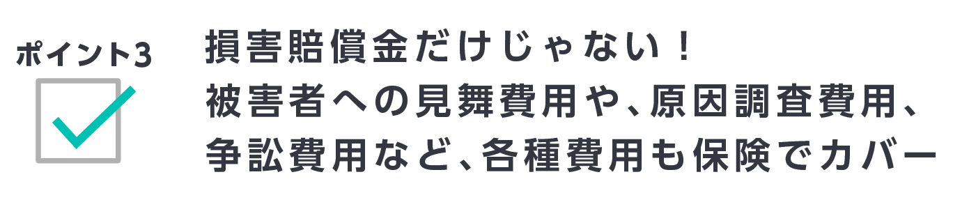 ポイント3　損害賠償金だけじゃない！被害者への見舞費用や、原因調査費用、争訟費用など、各種費用も保険でカバー