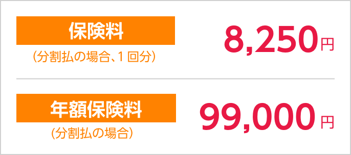 保険料（分割払の場合、1回分）8,250円　年額保険料（分割払の場合）99,000円